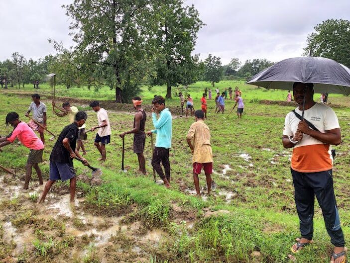 Ingreens A group of farmers working India